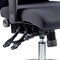 Onyx Ergo Posture Chair, Height Adjustable Arms, Black - Delivered Built