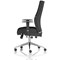 Onyx Ergo Posture Chair, Height Adjustable Arms, Black