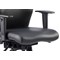 Onyx Ergo Posture Chair, Headrest, Height Adjustable Arms, Black