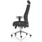 Onyx Ergo Posture Chair, Headrest, Height Adjustable Arms, Black