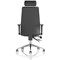 Onyx Ergo Posture Chair, Headrest, Height Adjustable Arms, Black