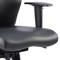 Onyx Ergo Posture Chair, Height Adjustable Arms, Black - Delivered Built