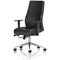 Onyx Ergo Posture Chair, Height Adjustable Arms, Black