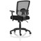 Portland Operator Chair, Height Adjustable Arms, Black