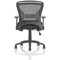 Zeus Task Mesh Back Operator Chair, Folding Arms, Black
