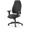 Posture High Back Chair, Height Adjustable Arms, Black