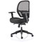 Amaze Mesh Chair, Height Adjustable Arms, Black