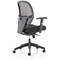 Amaze Mesh Chair, Height Adjustable Arms, Black