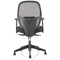 Amaze Mesh Chair, Height Adjustable Arms, Black