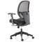 Amaze Mesh Chair, Height Adjustable Arms, Black