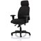 Energize Aviator Armchair, Height Adjustable Arms, Black