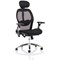 Sanderson II Mesh Back Operator Chair, Headrest, Height Adjustable Arms, Black