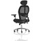Sanderson II Mesh Back Operator Chair, Headrest, Height Adjustable Arms, Black