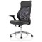 Baye Mesh and PU Operator Chair, Fixed Height Arms, Black
