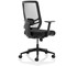 Ergo Twist Mesh Back Operator Chair, Height Adjustable Arms, Black