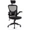 Ace Executive Mesh Chair With Folding Arms