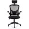 Ace Executive Mesh Chair With Folding Arms