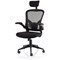 Ace Executive Mesh Chair With Folding Arms