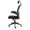 Ace Executive Mesh Chair With Folding Arms