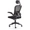 Ace Executive Mesh Chair With Folding Arms