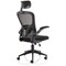 Ace Executive Mesh Chair With Folding Arms