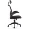 Ace Executive Mesh Chair With Folding Arms