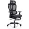 Horizon Executive Mesh Back Chair, Headrest, Height Adjustable Arms, Black