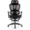 Horizon Executive Mesh Back Chair, Headrest, Height Adjustable Arms, Black