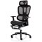 Horizon Executive Mesh Back Chair, Headrest, Height Adjustable Arms, Black