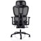 Horizon Executive Mesh Back Chair, Headrest, Height Adjustable Arms, Black