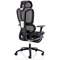 Horizon Executive Mesh Back Chair, Headrest, Height Adjustable Arms, Black