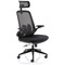 Sigma Executive Mesh Back Chair, Headrest, Folding Arms, Black