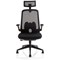 Sigma Executive Mesh Back Chair, Headrest, Folding Arms, Black
