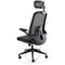 Sigma Executive Mesh Back Chair, Headrest, Folding Arms, Black