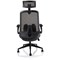Sigma Executive Mesh Back Chair, Headrest, Folding Arms, Black