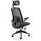 Sigma Executive Mesh Back Chair, Headrest, Folding Arms, Black