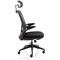 Sigma Executive Mesh Chair With Folding Arms