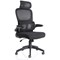 Iris Task Mesh Back Operator Chair, Headrest, Folding Arms, Black