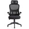 Iris Task Mesh Back Operator Chair, Headrest, Folding Arms, Black