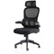 Iris Task Mesh Back Operator Chair, Headrest, Folding Arms, Black
