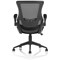 Orbit Mesh Back Operator Chair, Folding Arms, Black