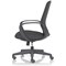 Ariel Mesh Chair - Black