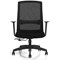 Ventra Mesh Task Chair, Black