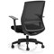 Ventra Mesh Task Chair, Black