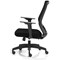 Ventra Mesh Task Chair, Black