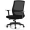 Ventra Mesh Task Chair, Black