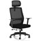 Ventra Mesh Task Chair, Black, Headrest
