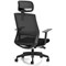 Ventra Mesh Task Chair, Black, Headrest