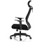 Ventra Mesh Task Chair, Black, Headrest