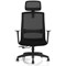 Ventra Mesh Task Chair, Black, Headrest